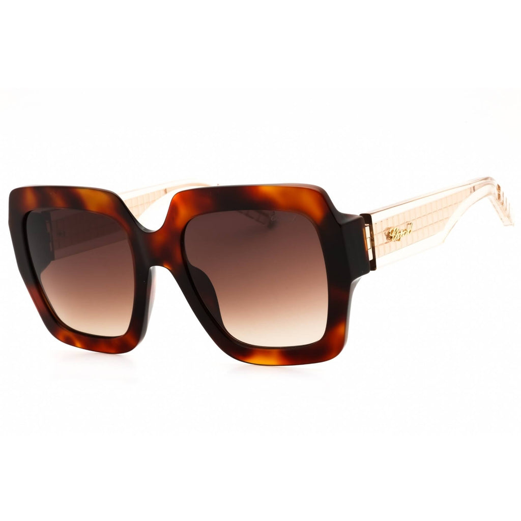Chopard Women's Sunglasses - Shiny Havana Acetate Full Rim Oversized | SCH363M 0909
